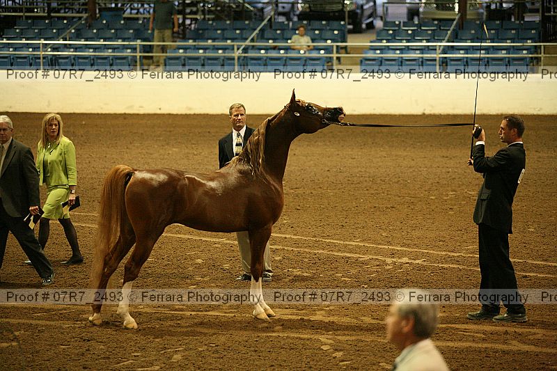 Proof 07r7_2493