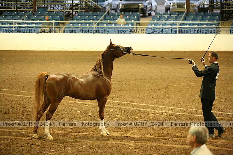 Proof 07r7_2494