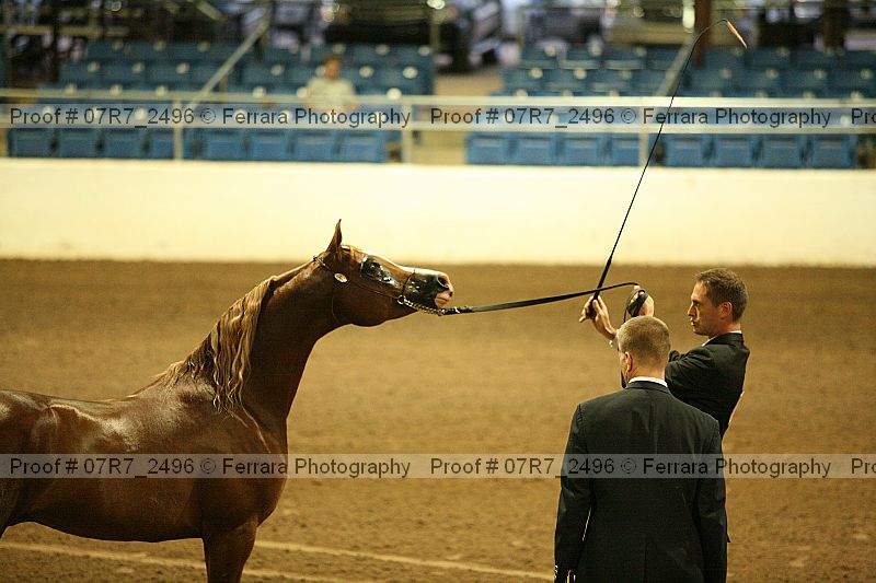 Proof 07r7_2496