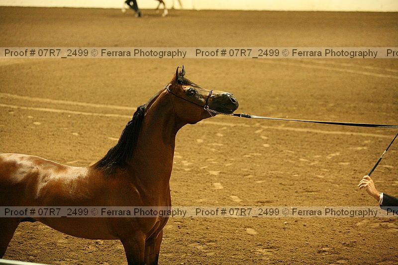 Proof 07r7_2499
