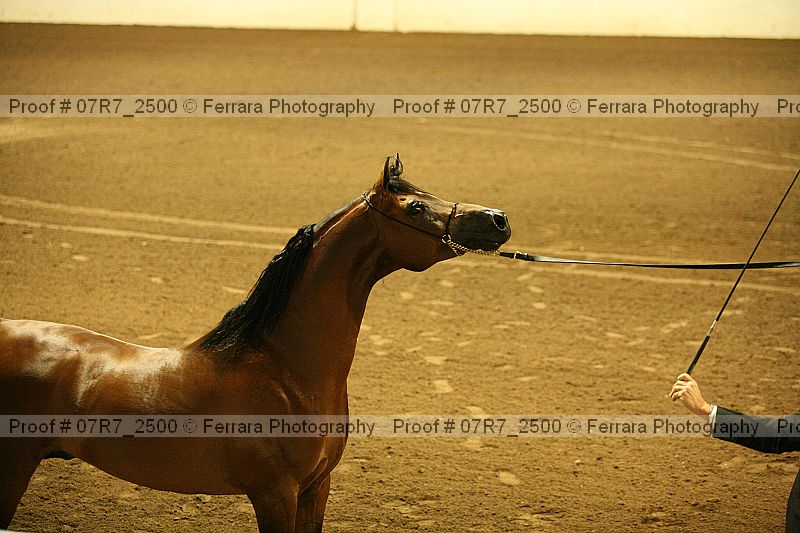 Proof 07r7_2500