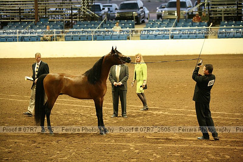 Proof 07r7_2505