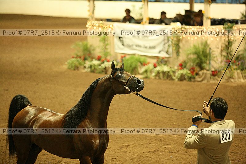 Proof 07r7_2515