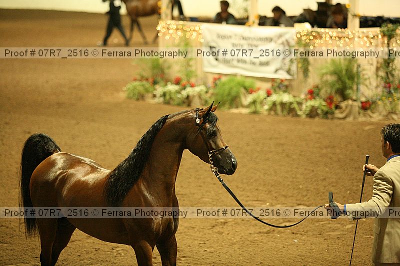 Proof 07r7_2516