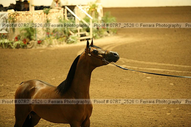Proof 07r7_2526