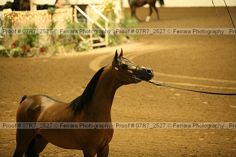 Proof 07r7_2527