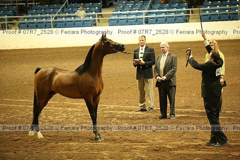 Proof 07r7_2528