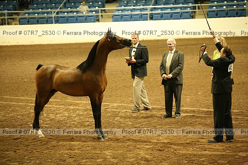 Proof 07r7_2530