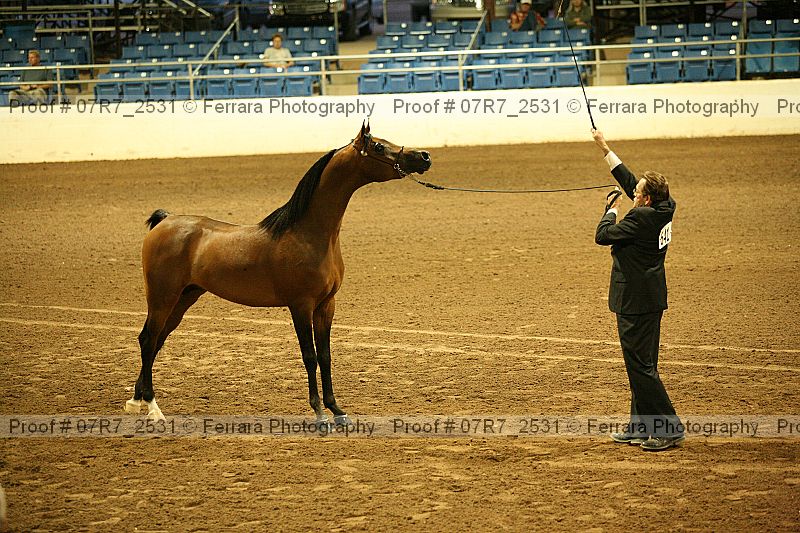 Proof 07r7_2531