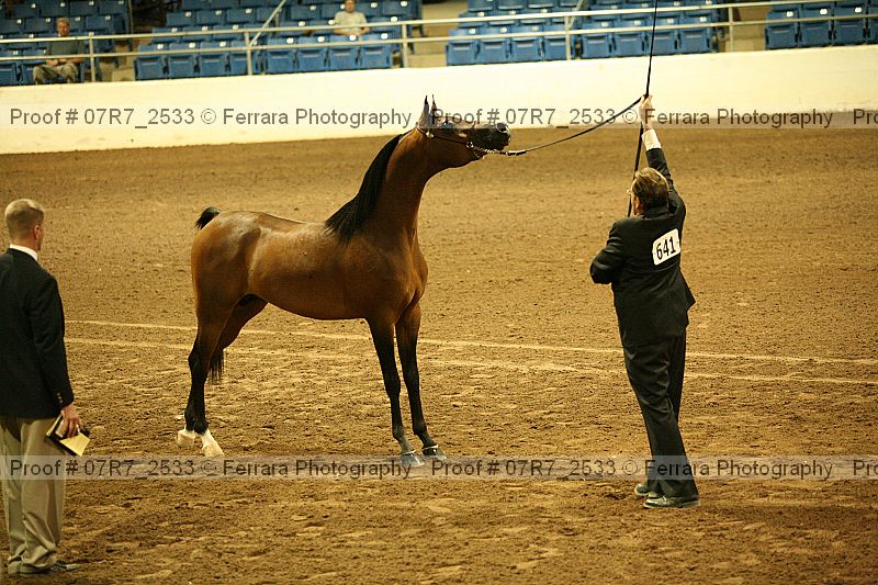 Proof 07r7_2533