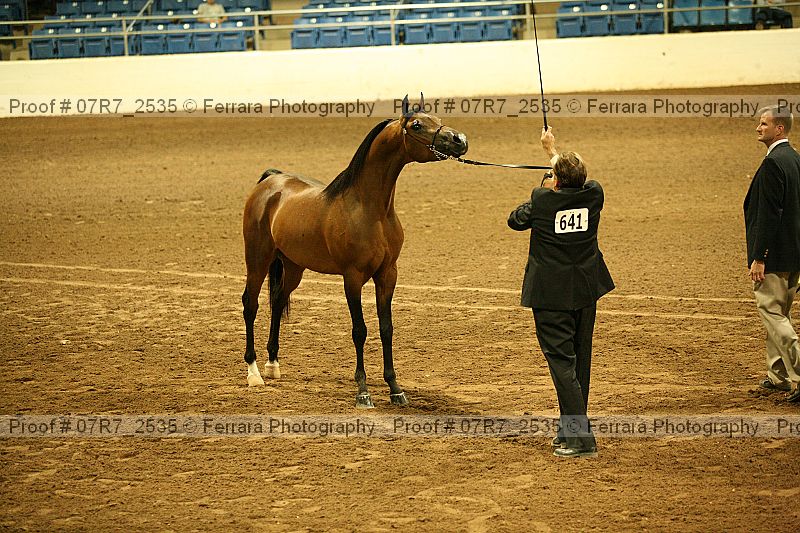 Proof 07r7_2535