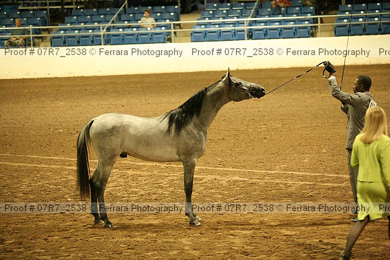 Proof 07r7_2538