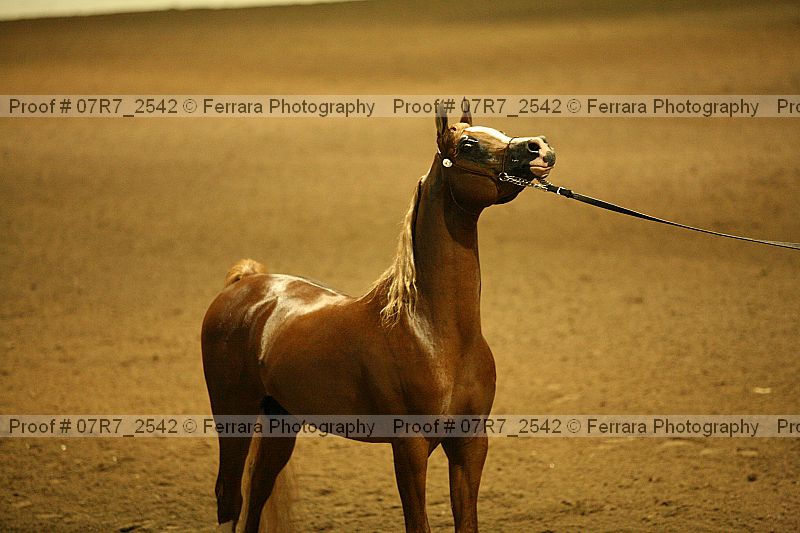 Proof 07r7_2542