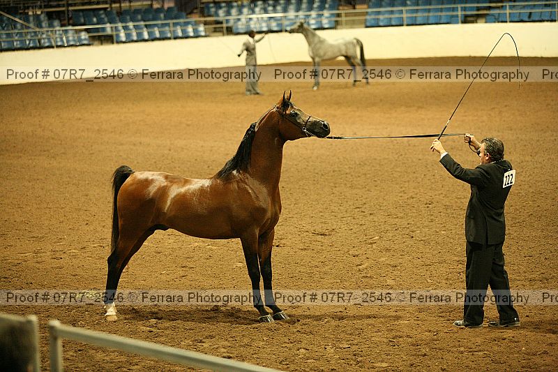 Proof 07r7_2546