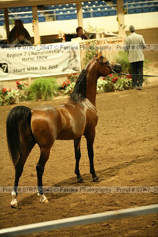 Proof 07r7_2547
