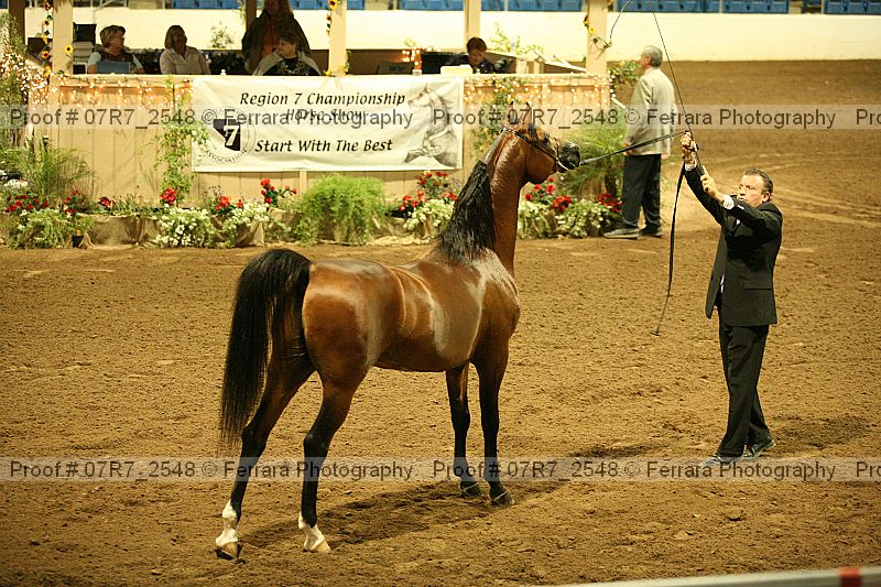 Proof 07r7_2548