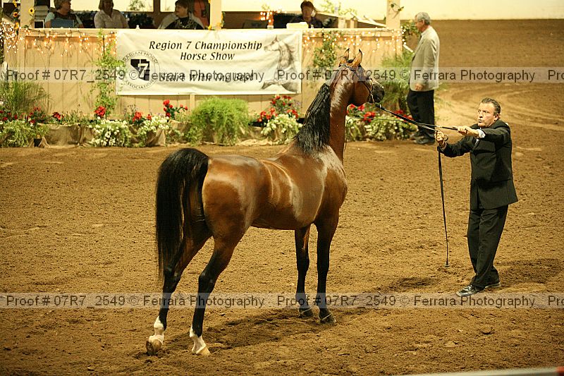 Proof 07r7_2549