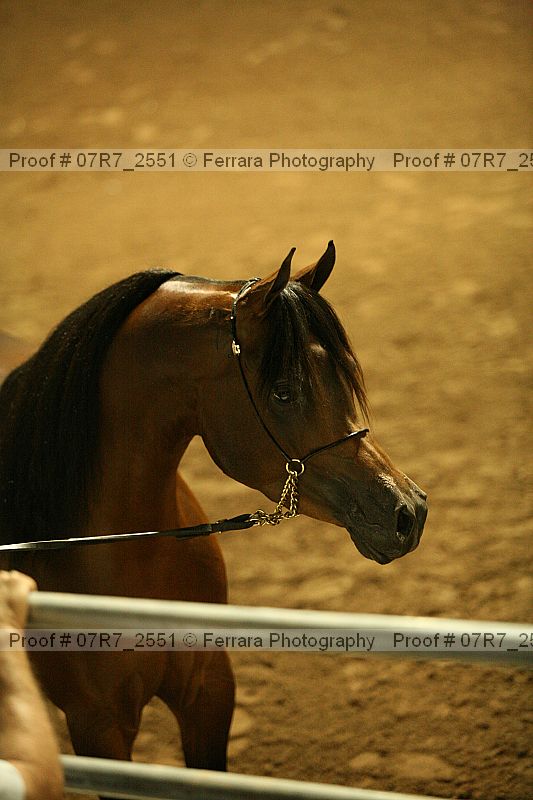 Proof 07r7_2551