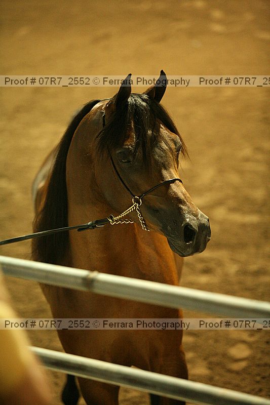 Proof 07r7_2552