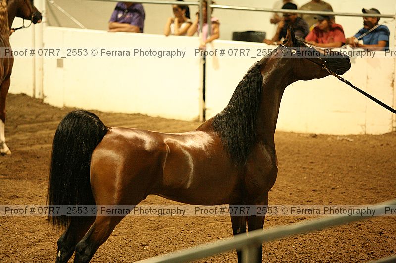 Proof 07r7_2553