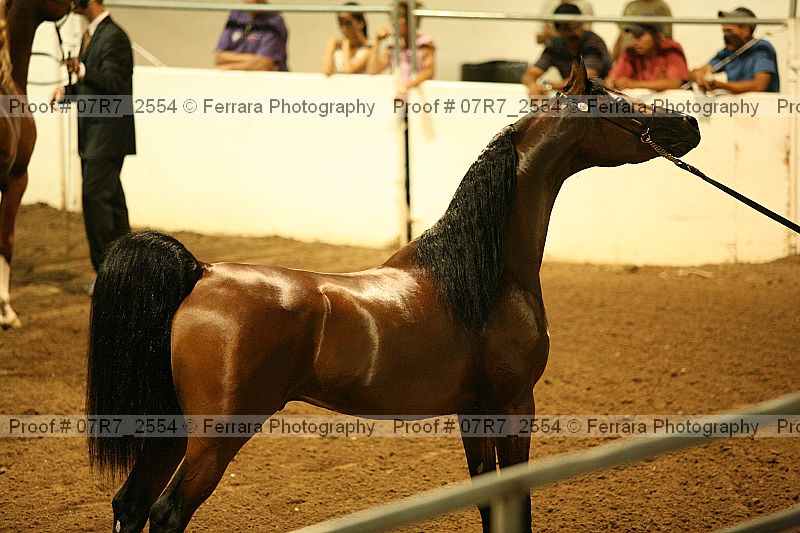 Proof 07r7_2554