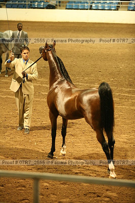 Proof 07r7_2555