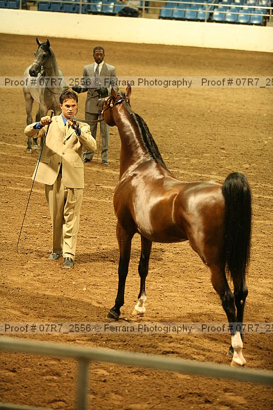 Proof 07r7_2556