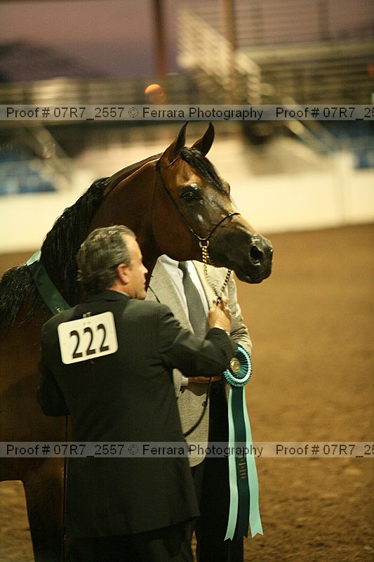 Proof 07r7_2557