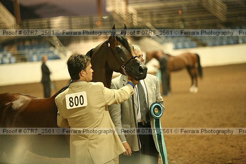 Proof 07r7_2561