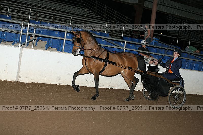 Proof 07r7_2593