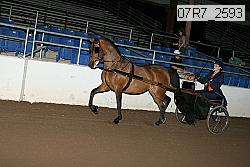 07r7_2593 proof