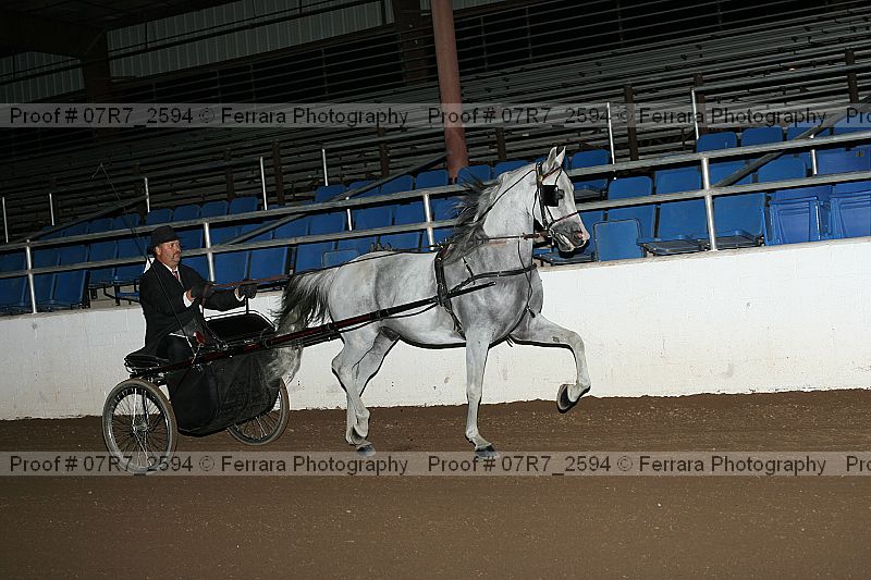 Proof 07r7_2594