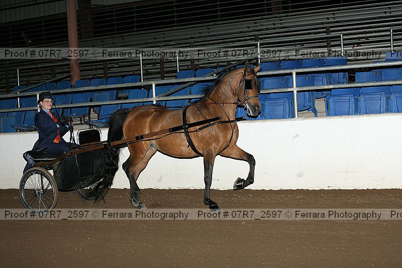 Proof 07r7_2597