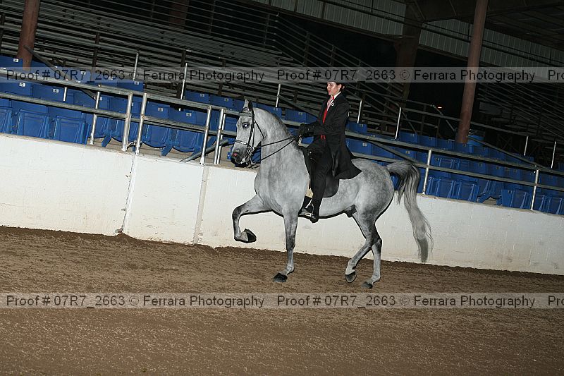 Proof 07r7_2663