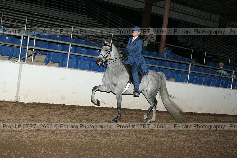 Proof 07r7_2666