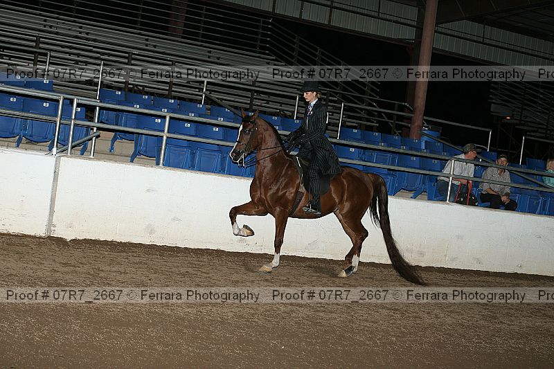 Proof 07r7_2667
