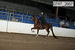 07r7_2667 proof