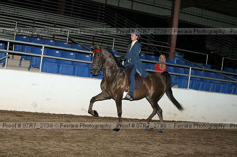 Proof 07r7_2739