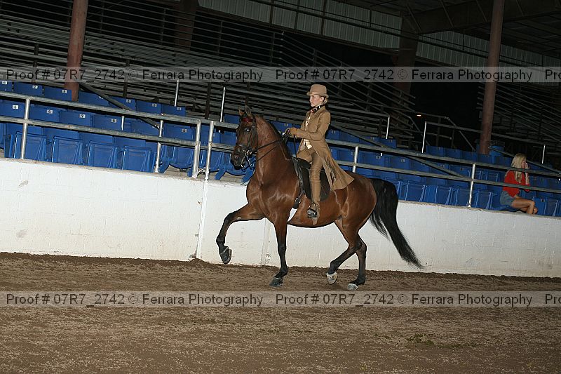Proof 07r7_2742