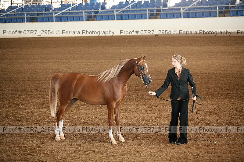 Proof 07r7_2954