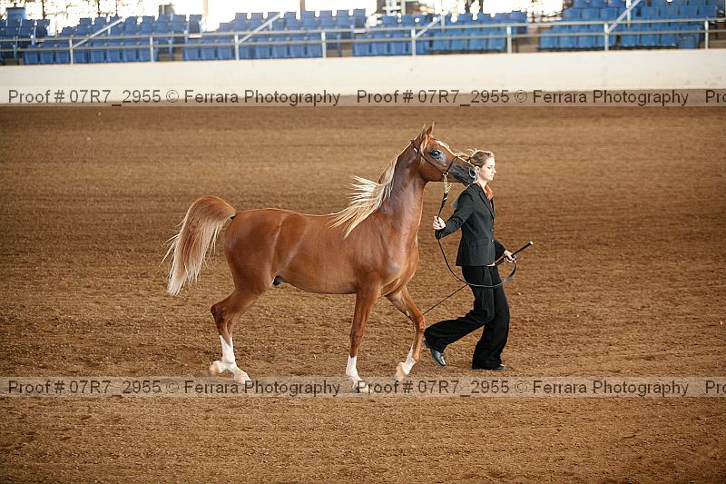 Proof 07r7_2955