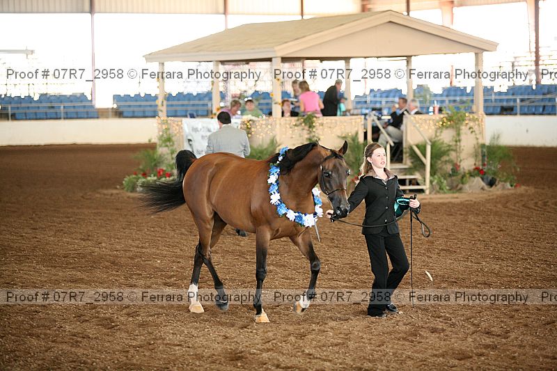Proof 07r7_2958