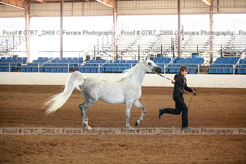 Proof 07r7_2968