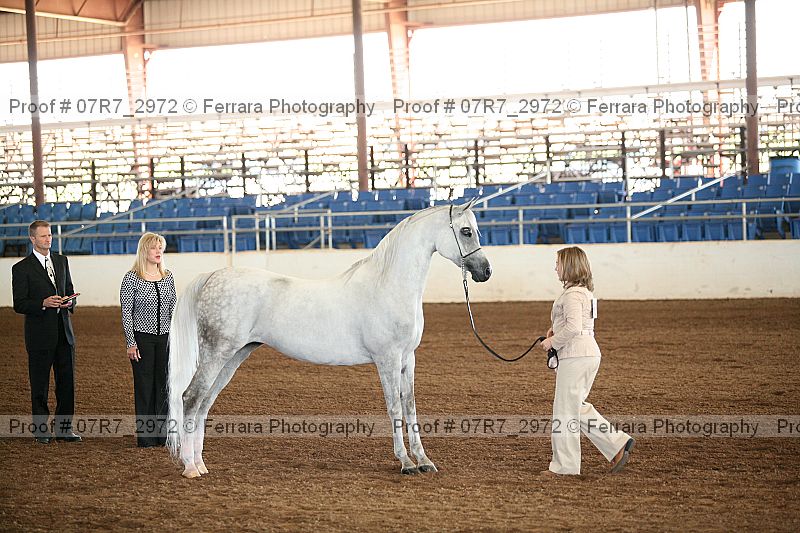 Proof 07r7_2972