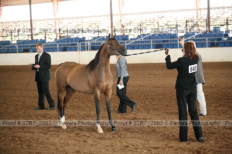 Proof 07r7_2982