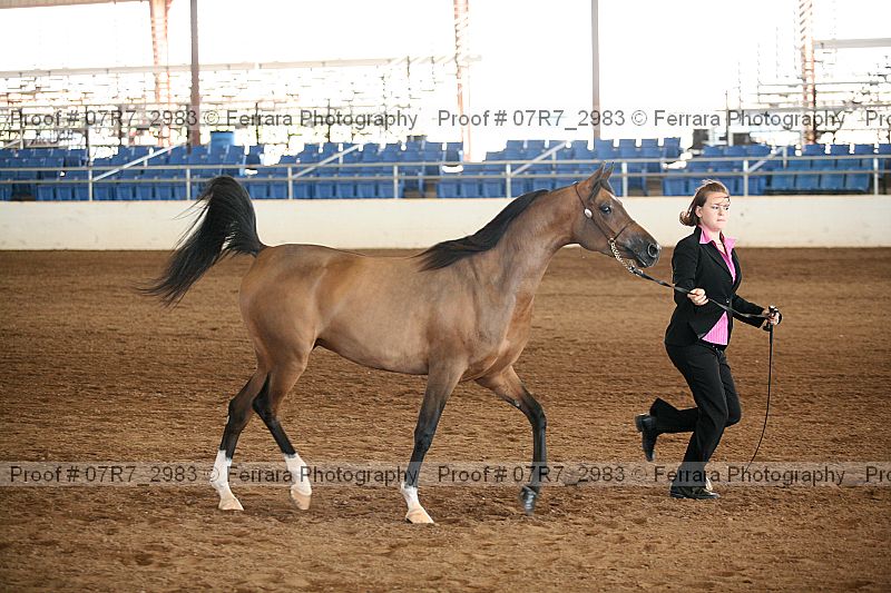 Proof 07r7_2983