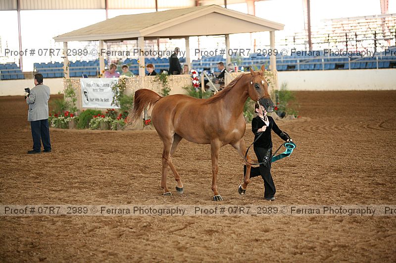 Proof 07r7_2989