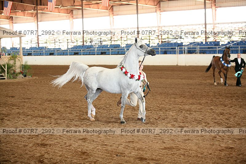 Proof 07r7_2992