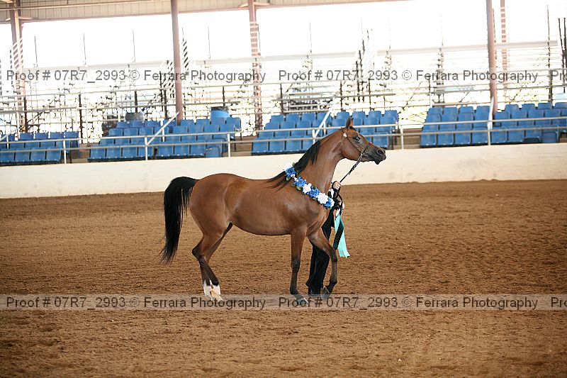 Proof 07r7_2993