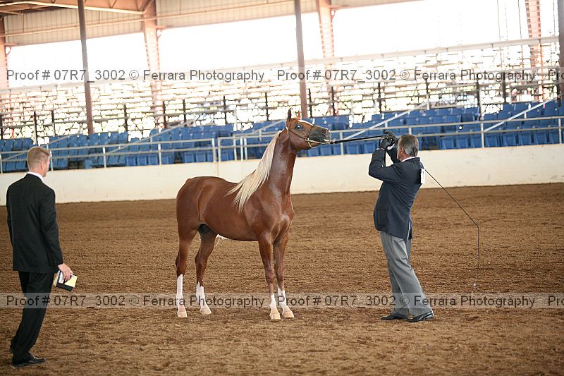 Proof 07r7_3002